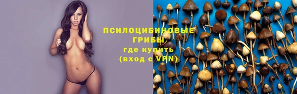spice Алексин