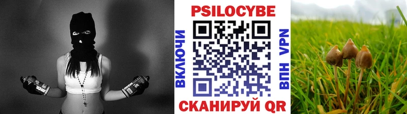 магазин наркотиков Менделеевск Галлюциногенные грибы Psilocybine cubensis